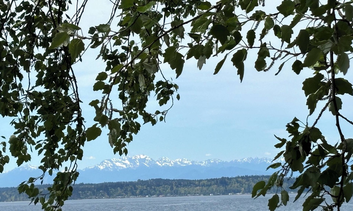 Alki Cottage | Alki Beach modern and cozy 3 bdrm home near dining, Lumen and T-Mobile park.