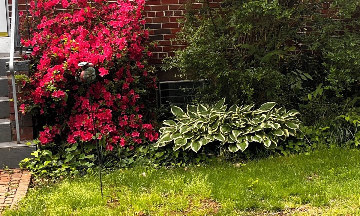 American University Park Apartment | American University Park