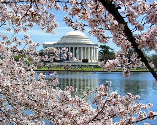 Northwest Apartment | Convenient Studio Apartment in Shepherd Park, DC