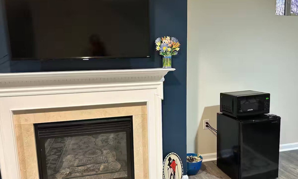 Washington Apartment | Cozy 1-bedroom apartment with fireplace, WiFi in Washington for single traveler