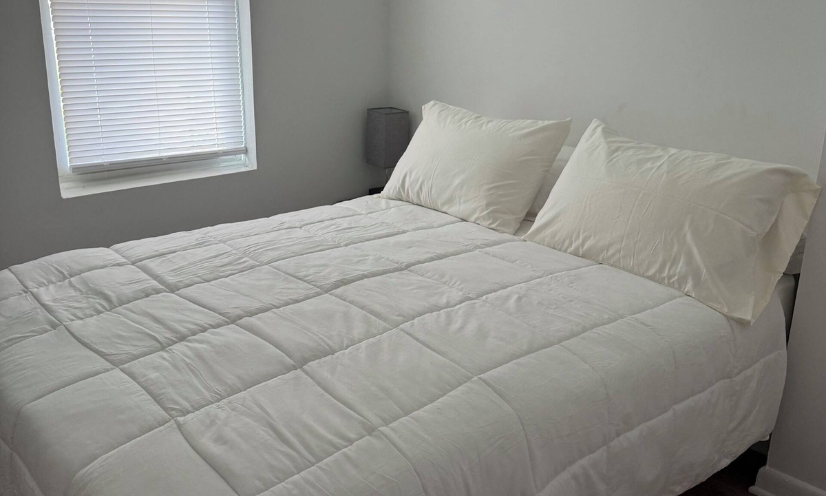 Kingman Park Apartment | Cozy 1-bedroom apartment in vibrant DC neighborhood walkable to popular H-street