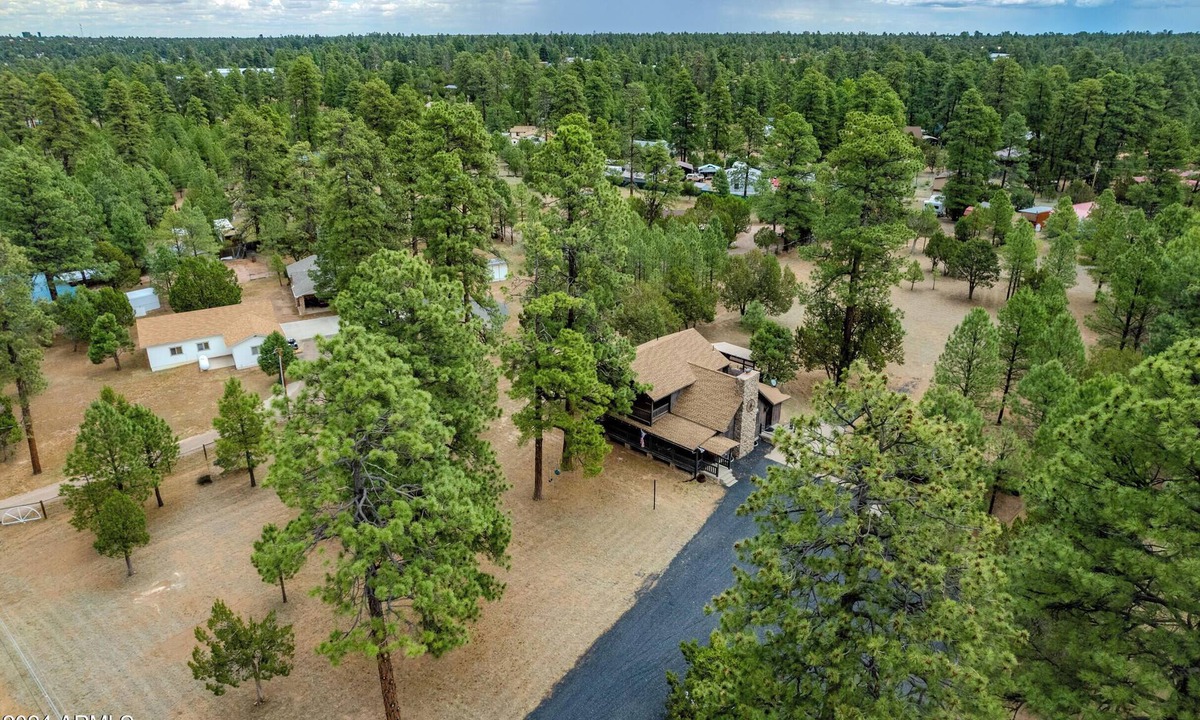 Overgaard Cabin | Cozy 4-bedroom cabin in charming Heber-Overgaard with WiFi