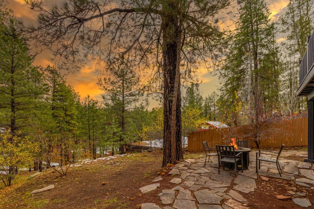 Kachina Village Apartment | Cozy Hilltop Retreat Quiet Street Near Downtown and NAU Private Forested Setting