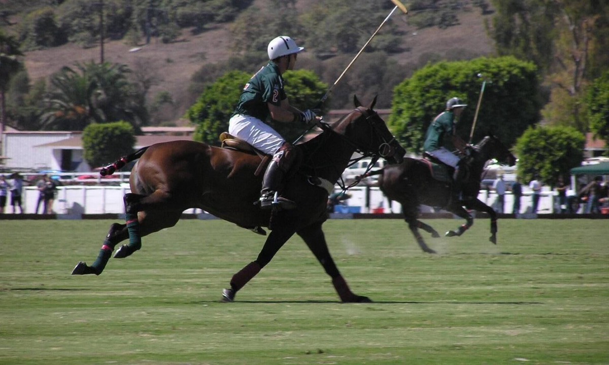 Toro Canyon Condo | Front Row Seat On A World Class Polo Field!
