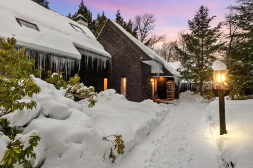 Stratton Mountain House | Mountain Haven for Families w Deck - Shuttle - Views