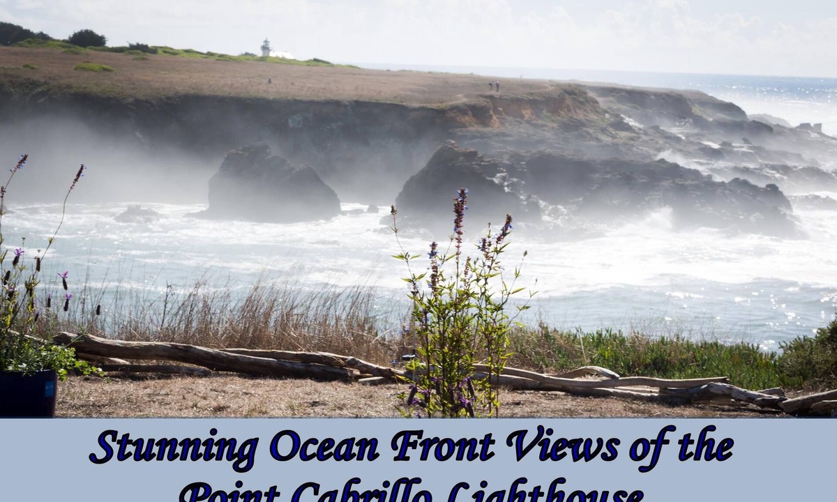 Mendocino House | Ocean Dreams - Gorgeous ocean front home with stunning views