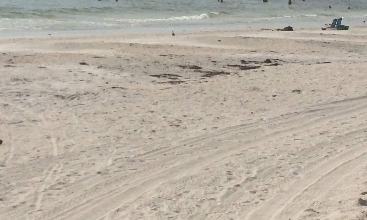 Sarasota House | Private Beach 1 Block To Lido Beach. 1/2 Mile St. Armand Circle