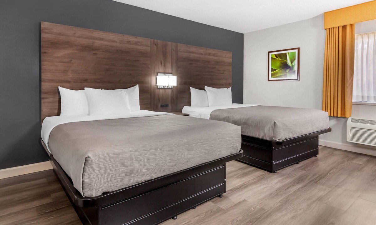 Morrisville Hotel | Quality Inn & Suites Raleigh Durham Airport