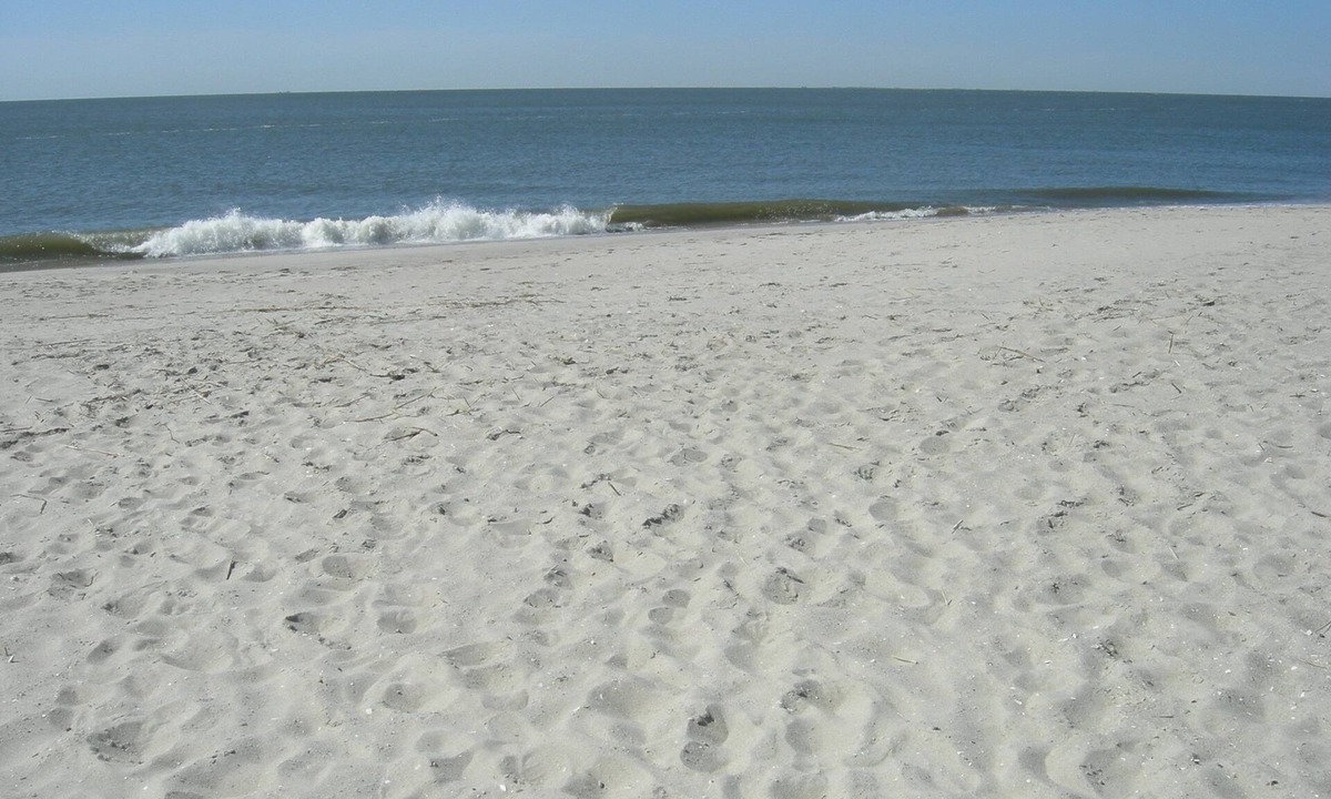 North Cape May Cottage | Simple Times - Simple House - Sound of the Foghorn