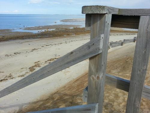 Dennis Hotel | Starlight Lodge Cape Cod