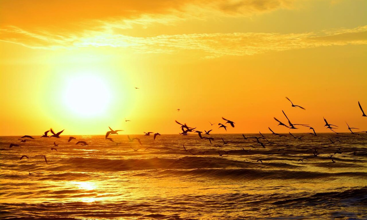 Vilano Beach Hotel | The Saint Augustine Beach House