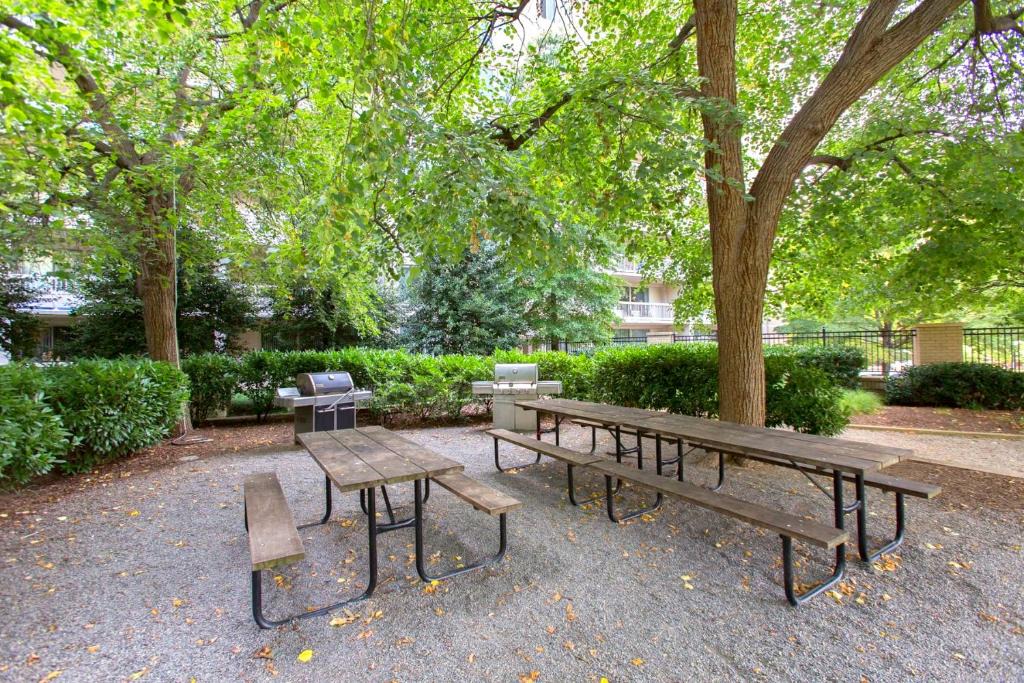 Aurora Highlands Apartment | This Apt is Perfect For Business Trips or a Relaxing Vacation