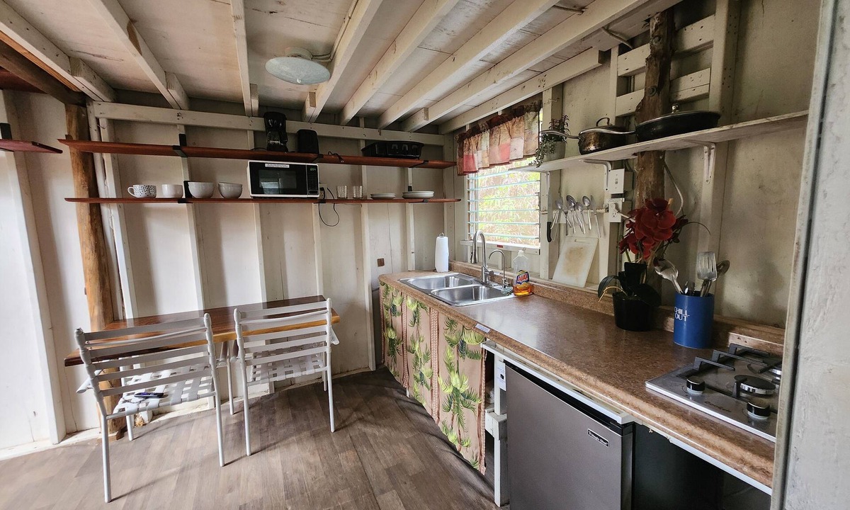 Fern Forest Cabin | tiny home 2 rustic with kitchen near Volcano National Park