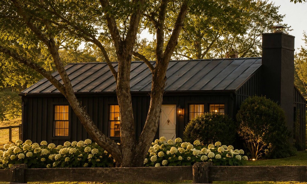 The Plains Cottage | Tranquil 2-bedroom cottage on gorgeous horse farm in The Plains