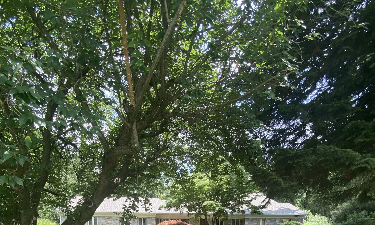 Towson House | Unique Private Oasis