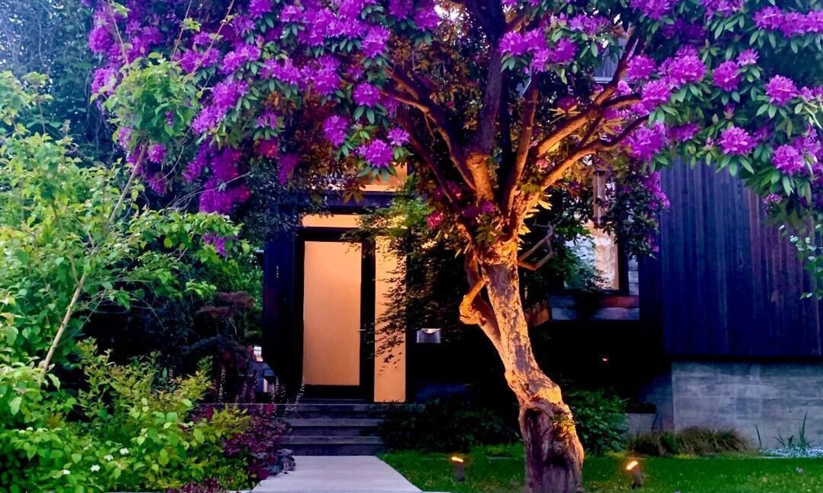 Harrison/Denny-Blaine House | Wonderful Arboretum 3br custom home w/spectacular outdoor living