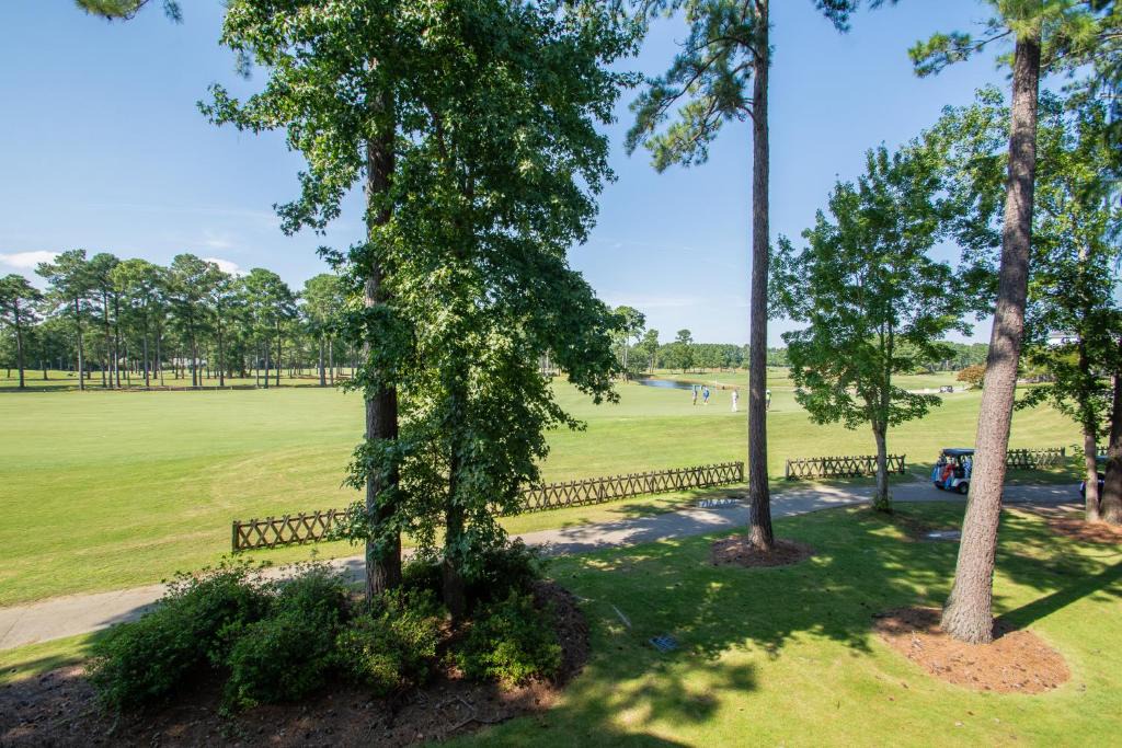 Carolina Forest Apartment | World Tour 202 Augusta by Palmetto Vacation Rentals