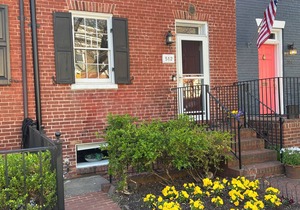 Historic Old Town Alexandria Cozy English Basement Apartment
