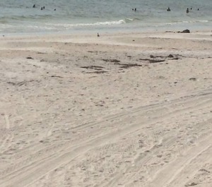 Lido Beach 