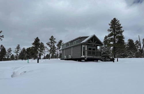 Williams Ski Chalet | 1B Cozy chalet with 1 bedroom, AC, WiFi and forest view with patio in Williams