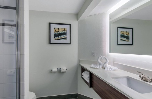Tropic Hotel | 3 Amazing Pet Friendly Units W/Pool and Free Parking | Close to Cruise Terminal