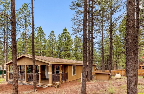 Parks House | 3 Bedroom Mountain Home in the Pines