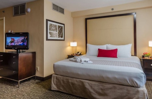 Dupont Circle House | 3 King Units Near Dupont Circle, Pets are Welcome, Relaxing City Views