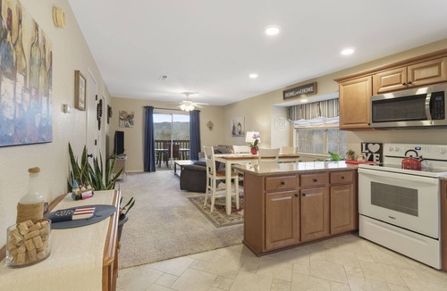 Indian Point Condo | 3 Min to SDC. Walkin 2BR,2 Bath. condo, beautiful view of TRL and the Ozark Mtns
