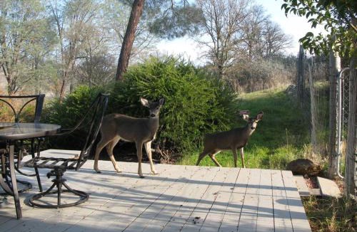 Rancho Calaveras House | A Great Riverfront Retreat a Shangri-La Paradize