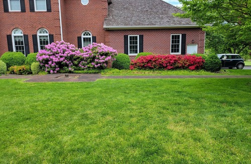 Brookeville House | A private and peaceful oasis with all amenities in quiet scenic Brookeville