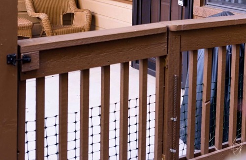 Heber Condo | Affordable and Cozy. 2 hours from Fountain Hills