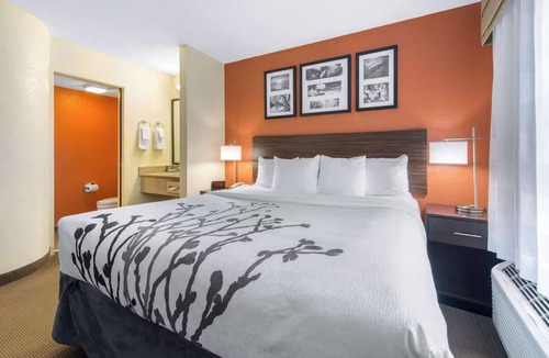 Bayou Oaks Hotel | Affordable Room w/1 King Near Sarasota Jungle Gardens – Perfect for Families