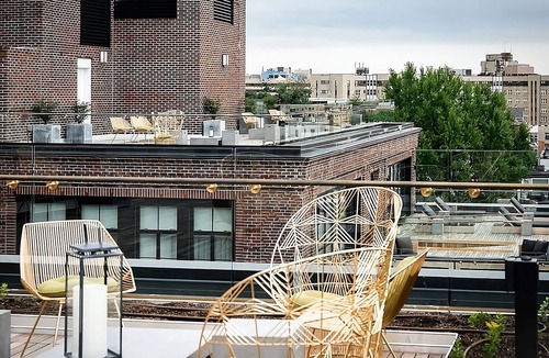 Adams Morgan Hotel | Arts & Nature, DC Suite Bliss with Central Location, Pets Stay For Free!