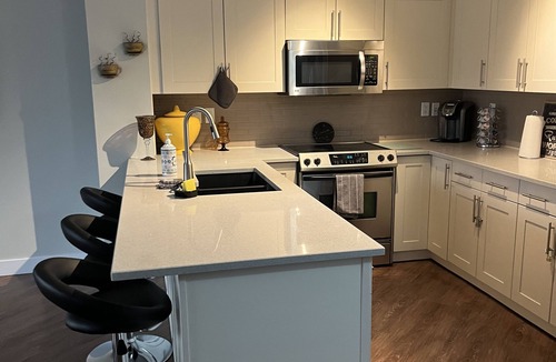 Downtown Edmonton Condo | Beautiful Downtown Executive Suite