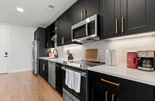 North Hyde Park Apartment | Beautiful Modern 1BD | Walk to Raymond James!