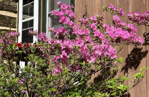 Bluemont Cabin | Beautifully Restored Log Cabin in Bluemont, VA