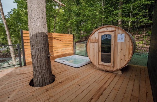 La Conception Cabin | Bel Air Tremblant MINI ANTARCTICA : 1 LIT KING, JACUZZI, SAUNA