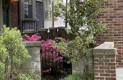 Forest Hills Apartment | Big and Comfy in Forest HillsCleveland Park by the Metro & Zoo! King Size Bed!