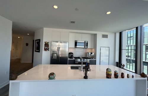 Navy Yard Apartment | Capitol view in heart of Navy Yard & can walk everywhere