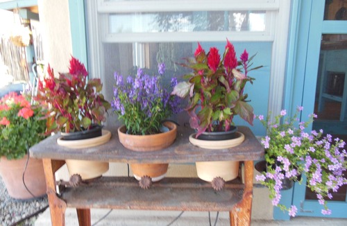 Taos Cottage | Casita Juliet in Taos, New Mexico
