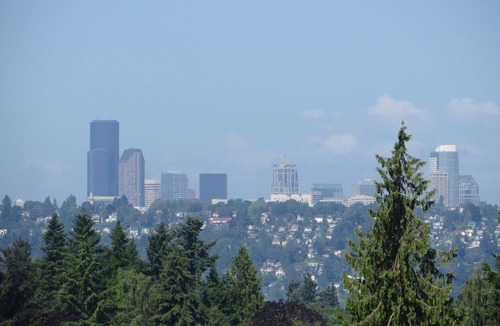 Northwest Bellevue House | Casually Elegant View Home Perfect For Relocating Family or during a remodel.