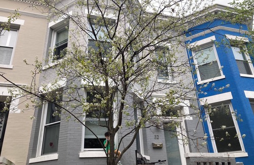 Eckington Apartment | Charming 1-bedroom apartment in lovely Washington with WiFi, AC