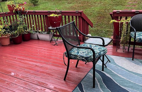 Dale City House | Charming 1-bedroom/bath available close to DC.