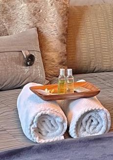 Olympus Cove Apartment | City light views getaway close to top ski resorts