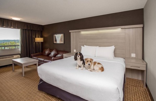 Banff Trail Hotel | Coast Calgary University Area Hotel by APA