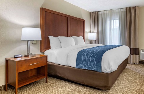 Pine Forest Hotel | Comfort Inn & Suites Spring Lake - Fayetteville near Fort Bragg