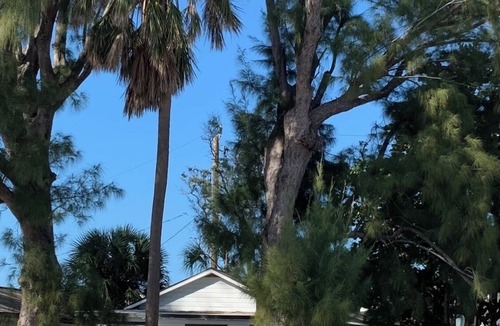 Bradenton Beach Cottage | Cottage in the Shade, 3 min walk to beach, restaurants, and pickleball crt.