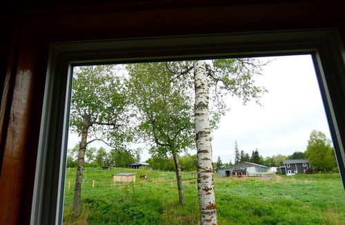 Waterford Cabin | Country Retreat with Horses Near Fundy & Poley Mountain