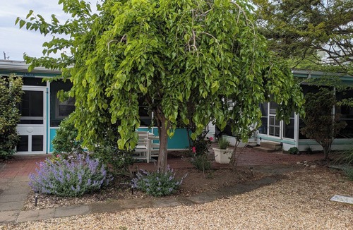 Rehoboth by the Sea Cottage | Cozy 2 BR Cottage steps from the Beach. Pet Friendly.
