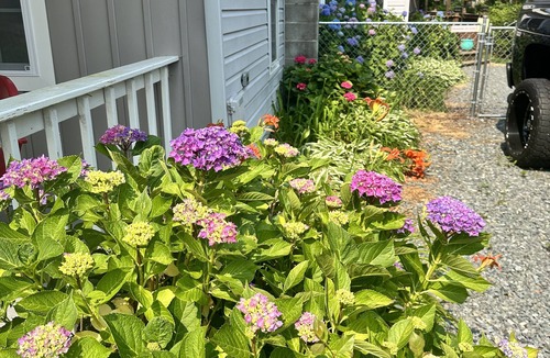 Colonial Beach Cottage | Cozy cottage on the point - 2 blocks from river and bay!